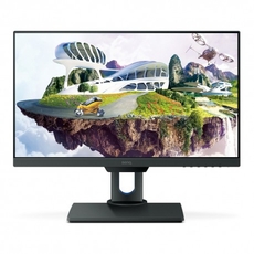 BENQ PD2500Q  Pro Video/CAD Editing Monitor 25&quot; - Grey - Zero Pixel