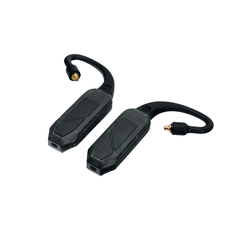 iFi Audio GO pod Air