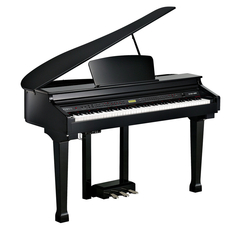 Kurzweil KAG100 LB