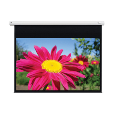 Optoma DE-1123 EGA 266x166 Χειροκίνητη 16:10