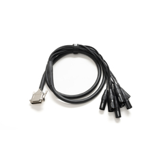 Warm Audio Premier DB25-XLRm-6' (1.8 meters) DB25 - XLR-MALE
