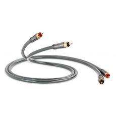QED QE6113 PERFORMANCE Audio 40i - 1m
