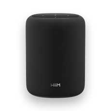 WiiM Sound Lite Smart Speaker - Black