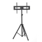 Focus Mount T364 32"-65" έως 35kg