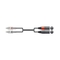 Citronic 2R-2XM075 Καλώδιο Ήχου 2 x RCA Plugs - 2 x XLR Male 0.75m (Τεμάχιο)