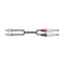 Citronic 2R-2M6J300 Καλώδια Ήχου 2 x 6,3 mm Mono Jack Plugs - 2 x RCA Plugs 3m (Τεμάχιο)
