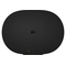 Sonos Era 300 - Black