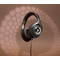 Focal Hadenys