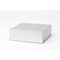 Pro-Ject AMP BOX DS2 Stereo - Silver