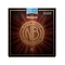 D'Addario NB1252BT Χορδές Nickel Bronze Ακουστικής Κιθάρας