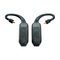 iFi Audio GO pod Air