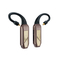 iFi Audio GO pod Max
