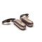 iFi Audio GO pod Max