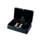 iFi Audio GO pod Max