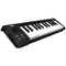 Korg microkey-25