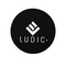 Ludic Anti-static Logo Felt slipmat Black NOstatic