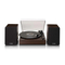 Lenco Turntable LS-200WD