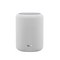 WiiM Sound Lite Smart Speaker - White