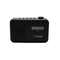 PURE Elan One 2 φορητό ψηφιακό ραδιόφωνο με DAB+ και Bluetooth, Ανθρακί