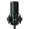Shure SM4 kit