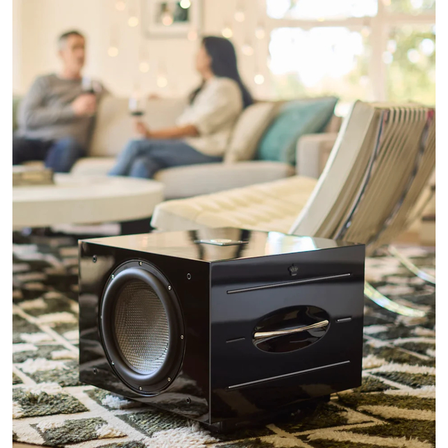 REL Acoustics Carbon Special Black Label