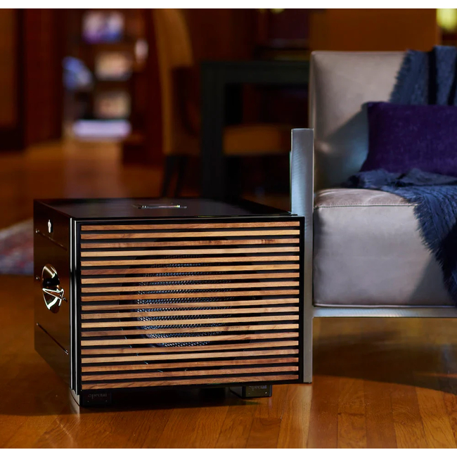 REL Acoustics Carbon Special Black Label