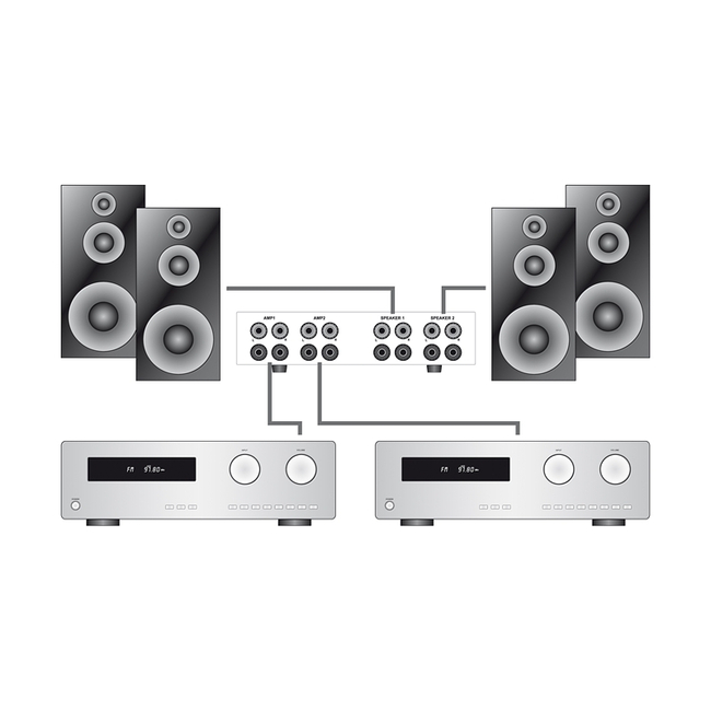 Dynavox Amp-s Pro 207765 - Black