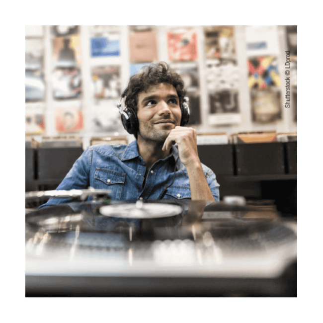 Oehlbach Pro Phono Brush Βούρτσα Βινυλίου Ασημί (Τεμάχιο)