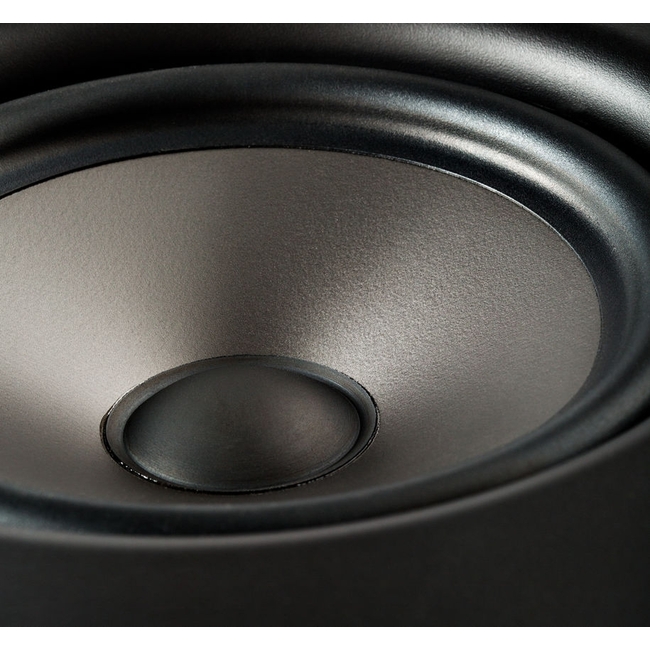 Polk Audio V65 (Τεμάχιο)