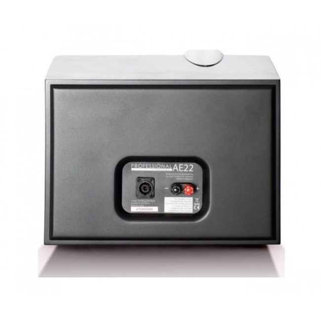 Acoustic Energy AE 22 Passive LEFT (Τεμάχιο)