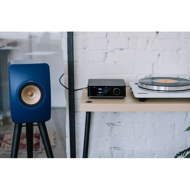 WiiM Amp Ultra Silver