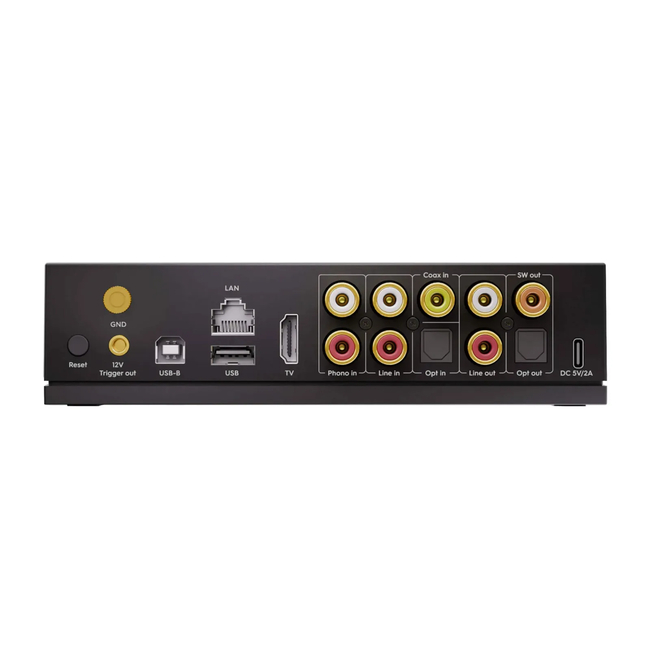Arylic LP100 HiFi Music Streamer (198715017397)