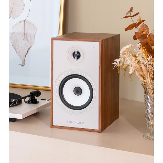 Triangle BR03 CONNECT - Oak