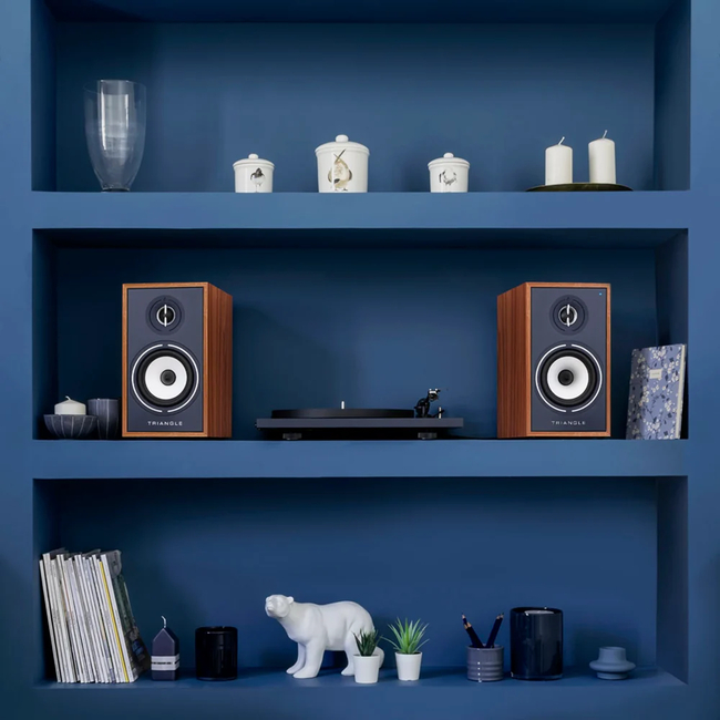 Triangle BR03 CONNECT - Blue
