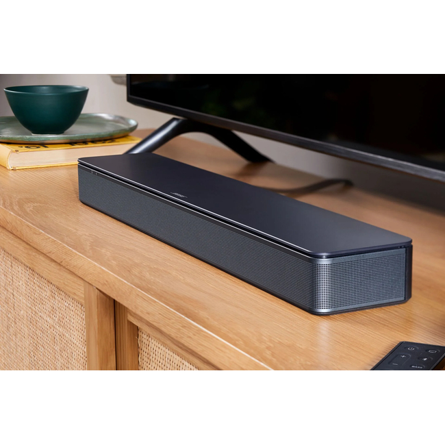 Bose TV Speaker