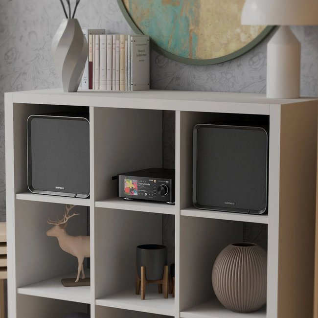 Eversolo SE100 (Ζεύγος)