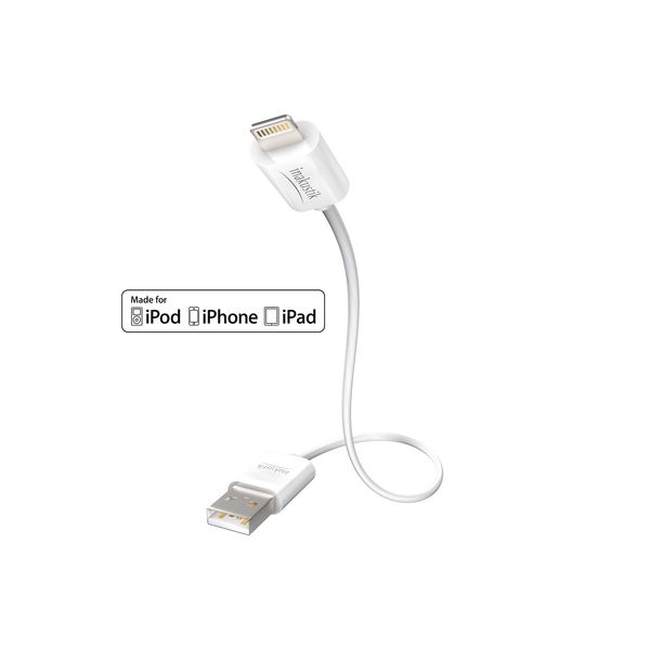 Inakustik 00440201 Premium Apple Lightning σε usb - 1m