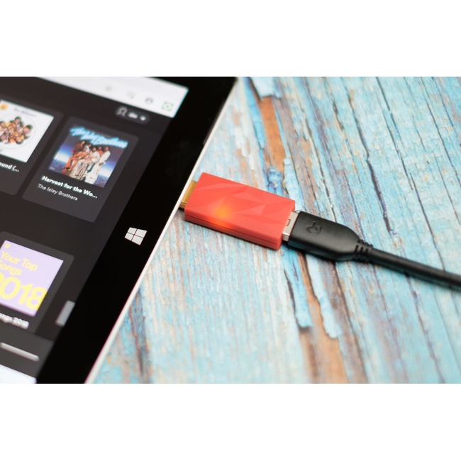 iFi Audio iDefender+ USB-A to USB-A (5060738780303)