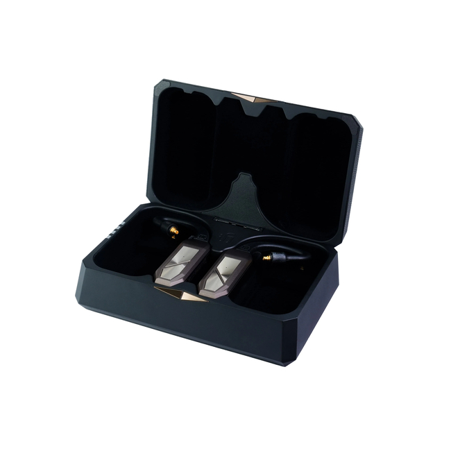 iFi Audio GO pod Max