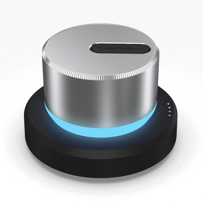 HumminGuru LUMI Record Stabilizer