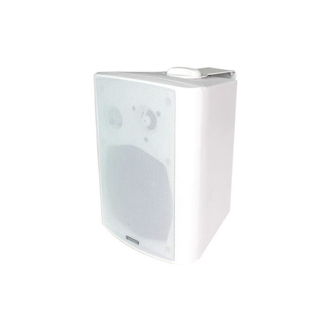 LUCKY TONE WP-530FW Wall Mount Speaker