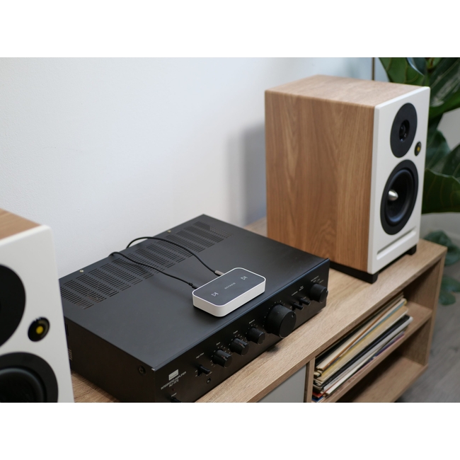 Octavio Stream (rca)