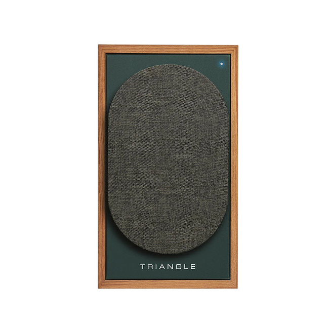 Triangle BR02 CONNECT - Green