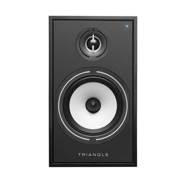 Triangle BR03 CONNECT - Black