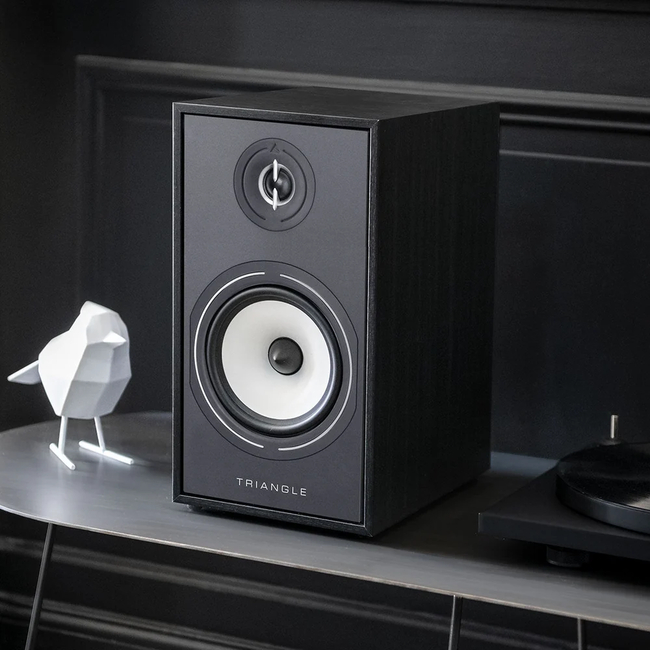 Triangle BR03 CONNECT - Black