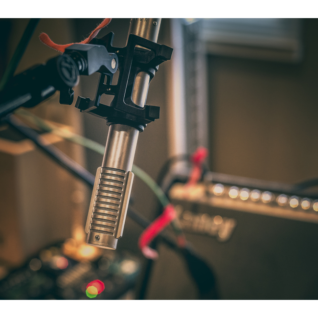 Royer R 122V - Ribbon Μικρού Διαφράγματος