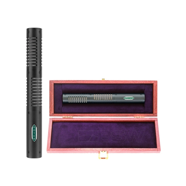 Royer SF 12 - Ribbon Μικρού Διαφράγματος