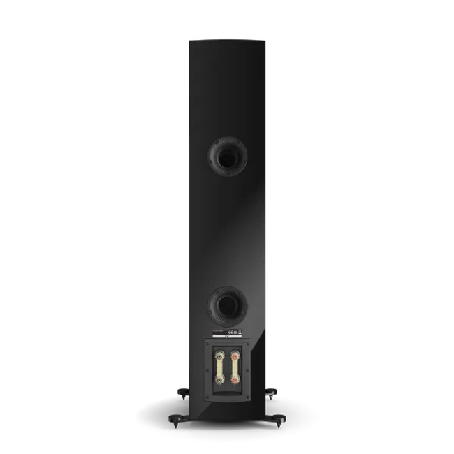 Dali Rubikore 6 - High Gloss Black (Ζεύγος)