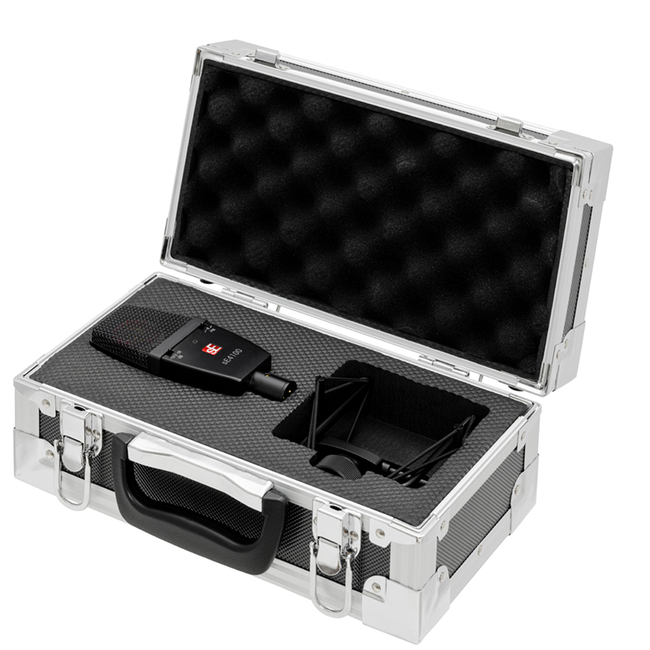 sE Electronics sE4100