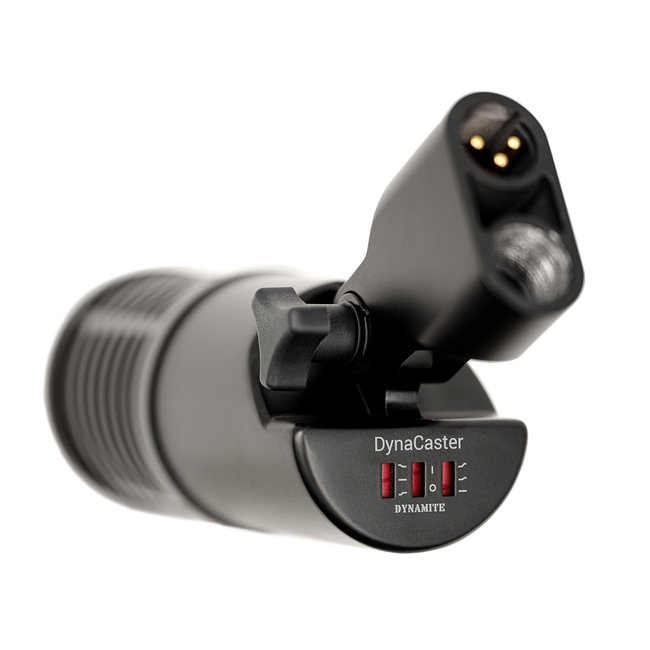 sE Electronics DynaCaster